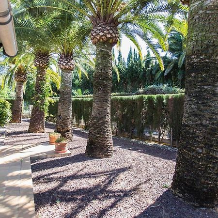 Finca Pepe 2 Hotel Denia Exterior photo
